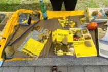 Broschüren und sonstiges Infomaterial zu Mitmach-Aktionen der Menschenrechtsorganisation Amnesty International, verteilt auf einer Tischplatte.